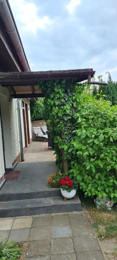 Ferienwohnung Hampel Altglietzen Εξωτερικό φωτογραφία
